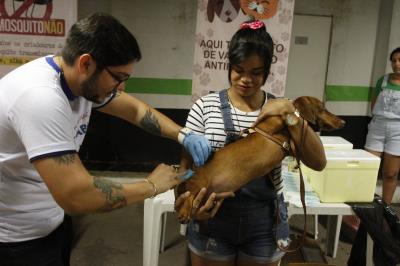 Feira de adoção de cães e gatos repete sucesso na 37ª edição