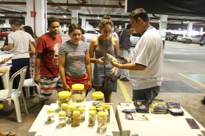 Feira de adoção de cães e gatos repete sucesso na 37ª edição