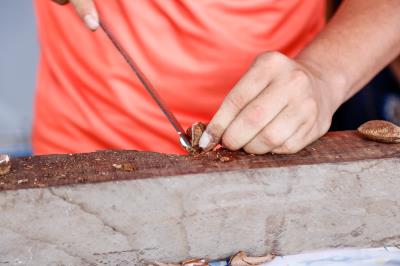 Aniversário do Ver-o-Peso: 392 anos - Parte 2