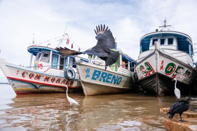 Aniversário do Ver-o-Peso: 392 anos - Parte 2