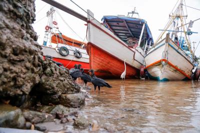 Aniversário do Ver-o-Peso: 392 anos - Parte 2