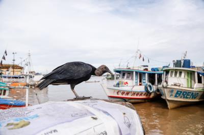 Aniversário do Ver-o-Peso: 392 anos - Parte 2