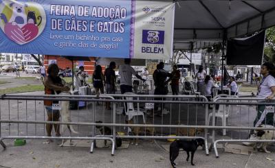 Praça do Jaú recebe Feira de Adoção de Cães e Gatos