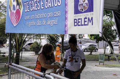 Praça do Jaú recebe Feira de Adoção de Cães e Gatos