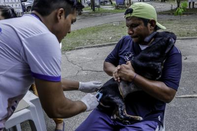 Praça do Jaú recebe Feira de Adoção de Cães e Gatos
