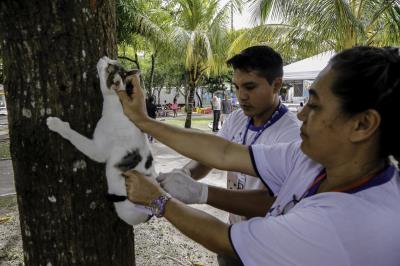 Praça do Jaú recebe Feira de Adoção de Cães e Gatos