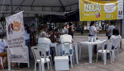Praça do Jaú recebe Feira de Adoção de Cães e Gatos