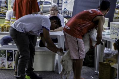 Praça do Jaú recebe Feira de Adoção de Cães e Gatos