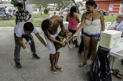Praça do Jaú recebe Feira de Adoção de Cães e Gatos