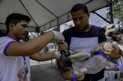 Praça do Jaú recebe Feira de Adoção de Cães e Gatos