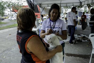 Praça do Jaú recebe Feira de Adoção de Cães e Gatos