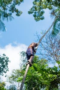 Ilha do Combu: os sabores que encantam do outro lado do rio