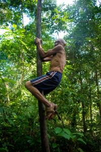 Ilha do Combu: os sabores que encantam do outro lado do rio