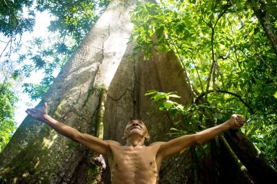 Ilha do Combu: os sabores que encantam do outro lado do rio