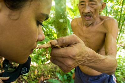 Ilha do Combu: os sabores que encantam do outro lado do rio