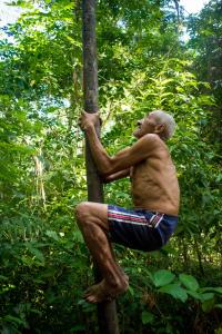 Ilha do Combu: os sabores que encantam do outro lado do rio