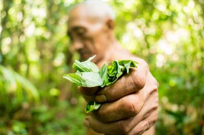 Ilha do Combu: os sabores que encantam do outro lado do rio