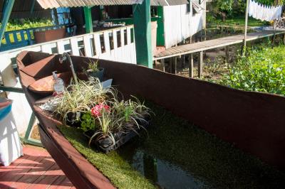 Ilhas que vão além do Combu e são opções de lazer ainda desconhecidas