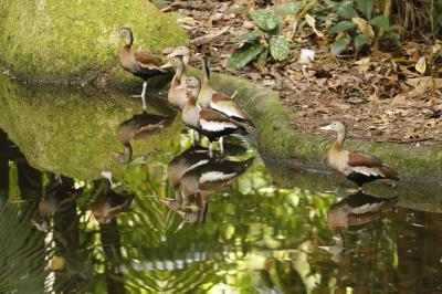 Prefeitura dá início à XVI Semana Municipal do Meio Ambiente