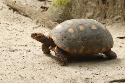 Prefeitura dá início à XVI Semana Municipal do Meio Ambiente
