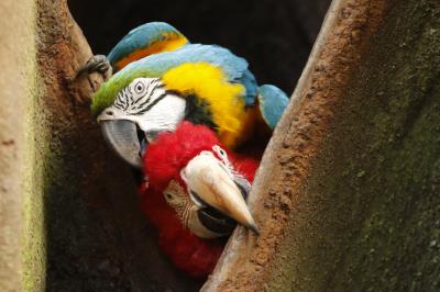 Prefeitura dá início à XVI Semana Municipal do Meio Ambiente