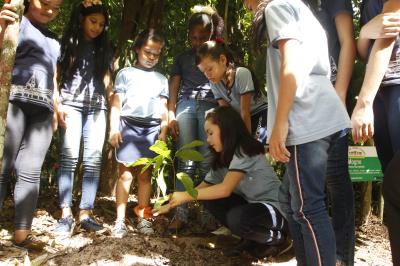 Prefeitura dá início à XVI Semana Municipal do Meio Ambiente