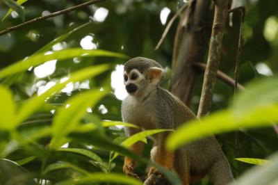 Prefeitura dá início à XVI Semana Municipal do Meio Ambiente