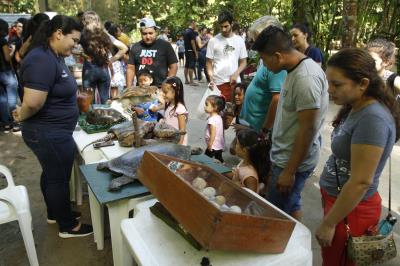 Programação no Bosque Rodrigues Alves encerra a XVI Semana do Meio Ambiente