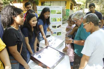 Programação no Bosque Rodrigues Alves encerra a XVI Semana do Meio Ambiente