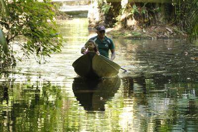 Programação no Bosque Rodrigues Alves encerra a XVI Semana do Meio Ambiente