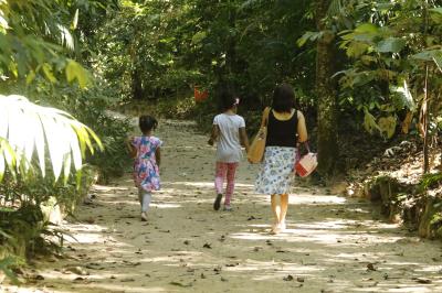Programação no Bosque Rodrigues Alves encerra a XVI Semana do Meio Ambiente
