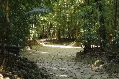 Programação no Bosque Rodrigues Alves encerra a XVI Semana do Meio Ambiente
