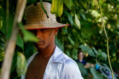 Primeiros Pássaros Juninos se apresentam no Museu Paraense Emílio Goeldi