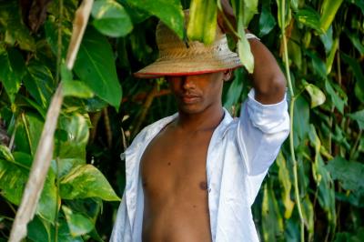 Primeiros Pássaros Juninos se apresentam no Museu Paraense Emílio Goeldi