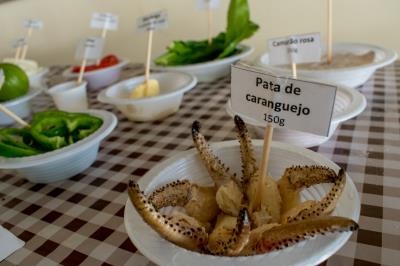 Prefeitura qualifica empreendedores de Cotijuba em boas práticas e manipulação de alimentos