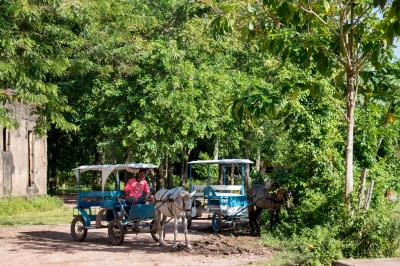 Belemtur elabora inventário de oferta turística nas ilhas e região urbana de Belém