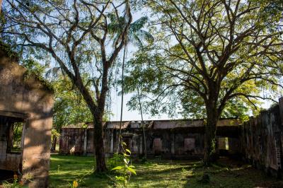 Belemtur elabora inventário de oferta turística nas ilhas e região urbana de Belém