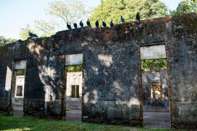 Belemtur elabora inventário de oferta turística nas ilhas e região urbana de Belém