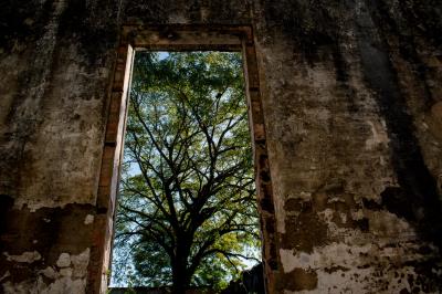 Belemtur elabora inventário de oferta turística nas ilhas e região urbana de Belém