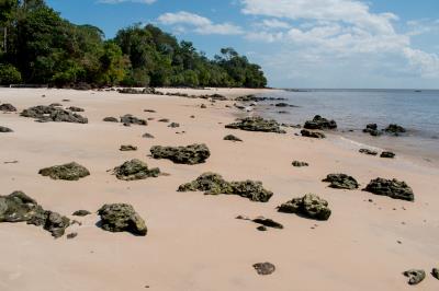 Belemtur elabora inventário de oferta turística nas ilhas e região urbana de Belém