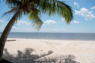 Belemtur elabora inventário de oferta turística nas ilhas e região urbana de Belém