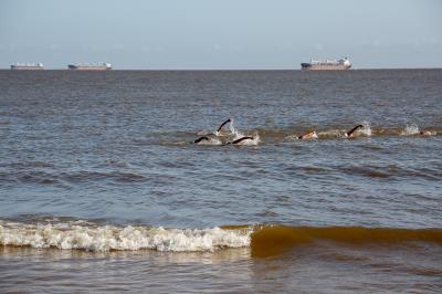 Mosqueiro ganha nova Academia ao Ar Livre e extensa programação de aniversário