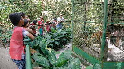 Colônia de férias do Bosque Rodrigues Alves tem início com atividades ecológicas
