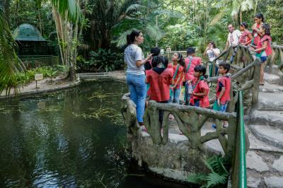 Colônia de férias do Bosque Rodrigues Alves tem início com atividades ecológicas