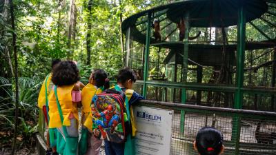 Colônia de férias do Bosque Rodrigues Alves tem início com atividades ecológicas