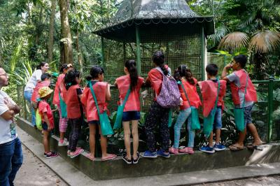 Colônia de férias do Bosque Rodrigues Alves tem início com atividades ecológicas