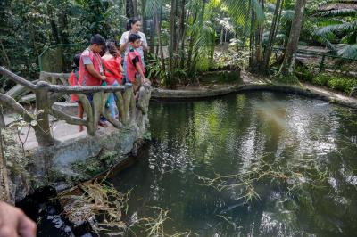 Colônia de férias do Bosque Rodrigues Alves tem início com atividades ecológicas