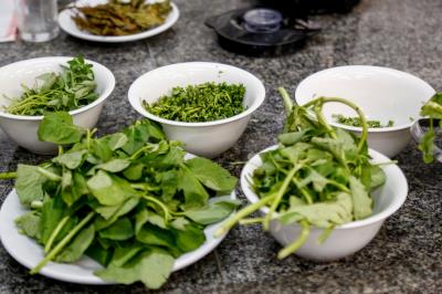 Boieiras são capacitadas para a terceira edição do “Circuito Gastronômico - Mercado Criativo”