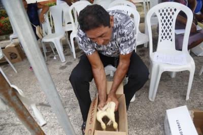 Prefeitura de Belém estimula criação de aves em Mosqueiro