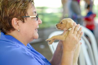 Praça Brasil recebe Feira de Adoção de Cães e Gatos